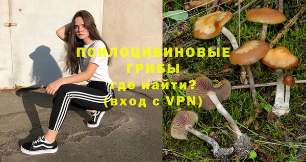 экстази Алексеевка