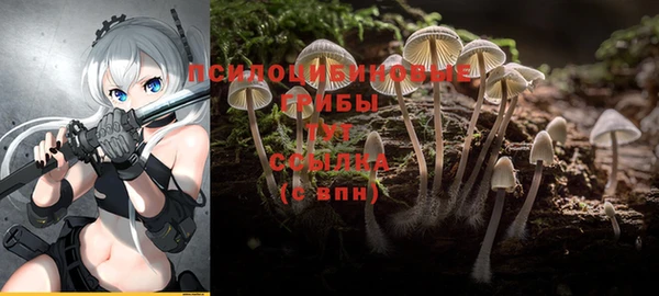 молекула духа Алзамай