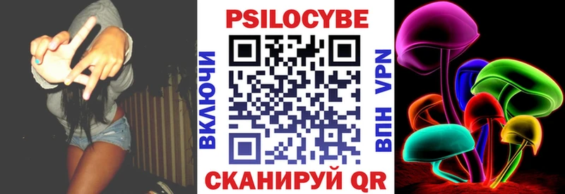 Псилоцибиновые грибы Psilocybe  наркота  Волхов 